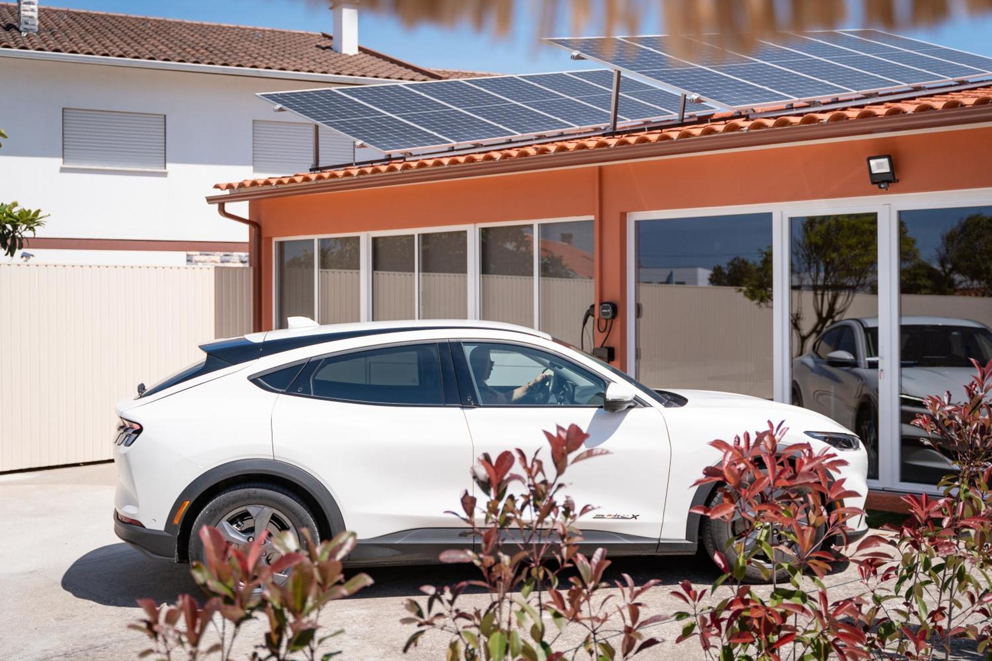 Magnolia Luxury Villa Vieira de Leiria Zewnętrze zdjęcie